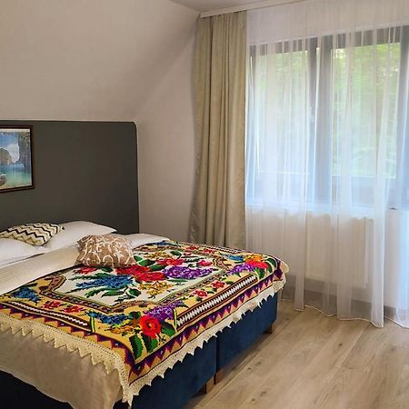 Baile Puturoasa Hotel Vama  Buitenkant foto